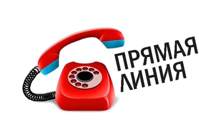 В Подмосковье пройдет «Горячая линия» по вопросам декларирования