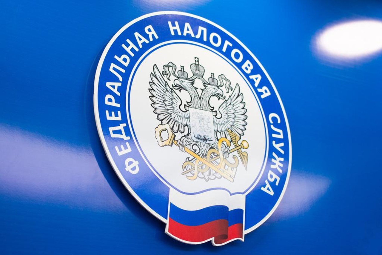 ФНС обновит формы и форматы документов для составления мотивированного мнения