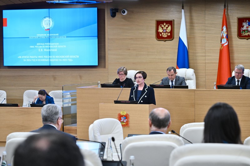 Екатерина Макарова доложила депутатам Мособлдумы о результатах работы налоговых органов за 2024 год