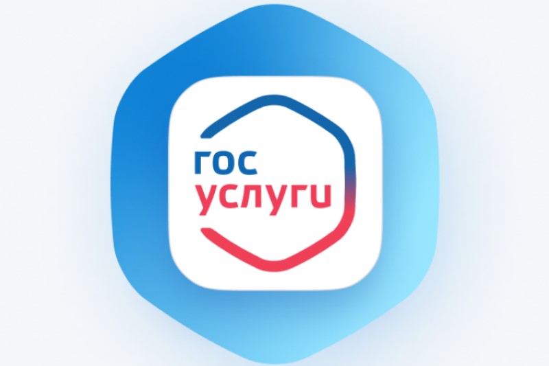 Получайте услуги налоговой службы на Портале госуслуг