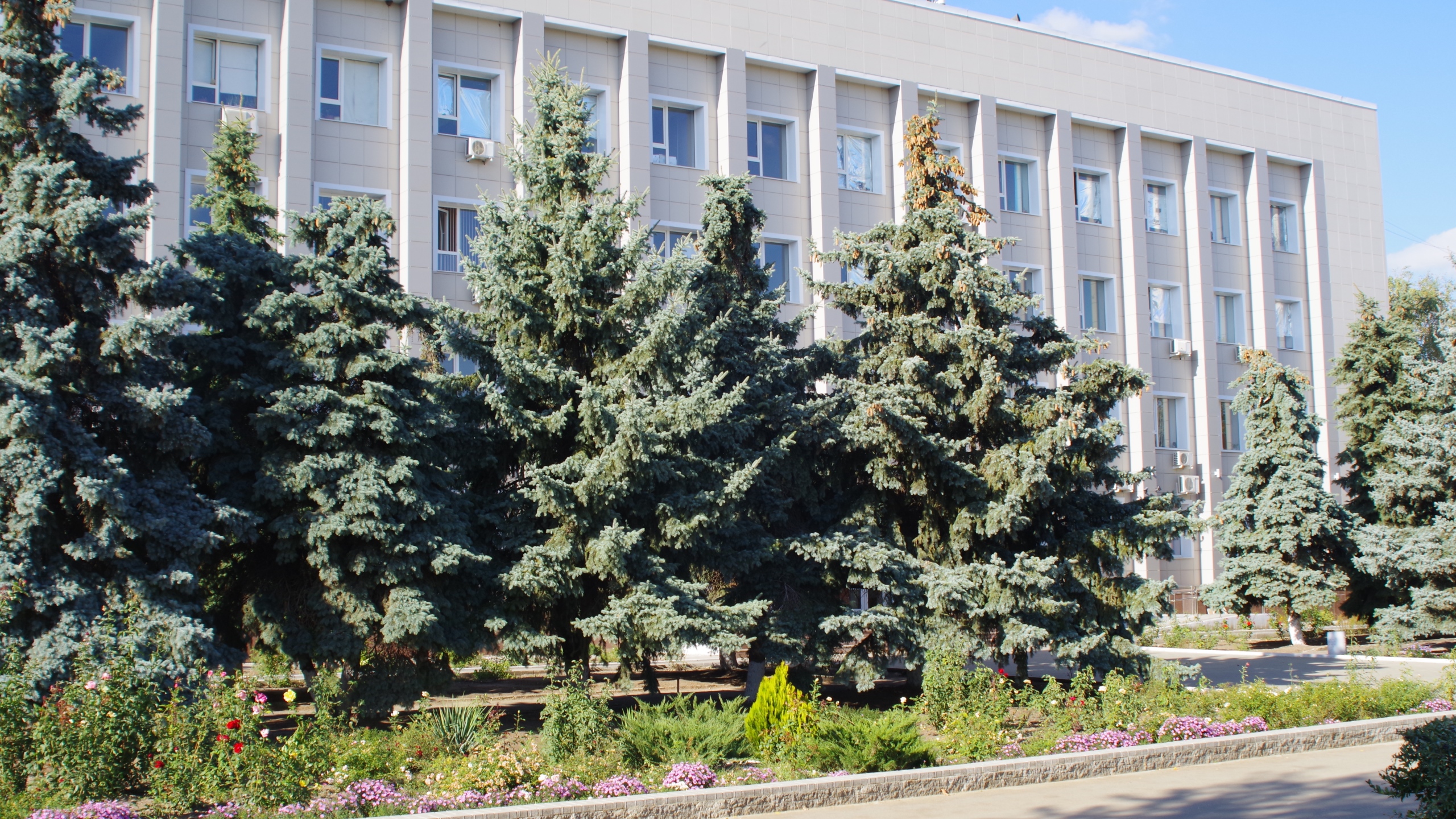  ТОРОМ по Кашарскому району расположен в здании Администрации Кашарского района