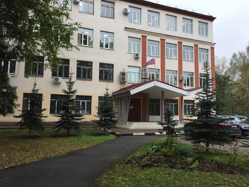 Новый Год В Пушкино Московской Области
