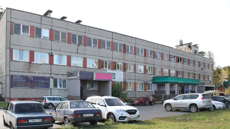 Купить Цветы В Снежинске С Доставкой