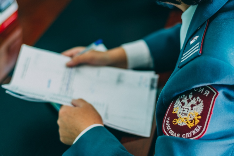 Налоговые органы картинки для презентации