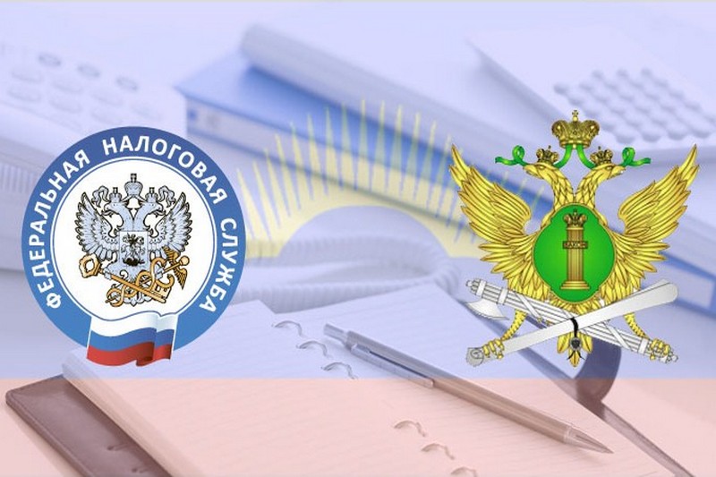 Фнс картинки для презентации