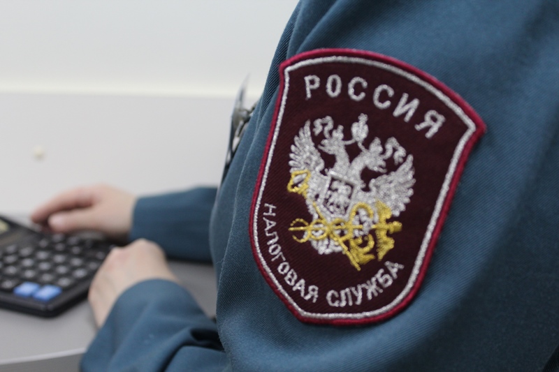 Налоговые органы картинка