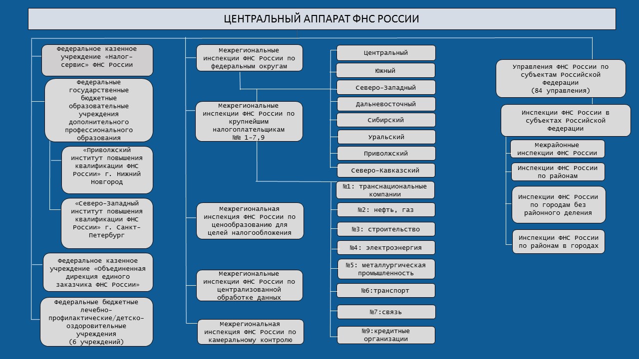 Территориальный орган налоговой службы. Структура налоговой службы РФ схема. Структура центрального аппарата ФНС России схема. Организационная структура ФНС РФ схема. Структура управления ФНС России.