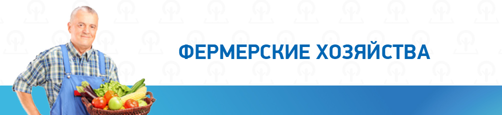 Контрольная работа по теме Государственная регистрация предприятий