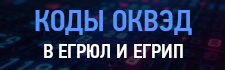 Новое о кодах ОКВЭД в ЕГРЮЛ и ЕГРИП